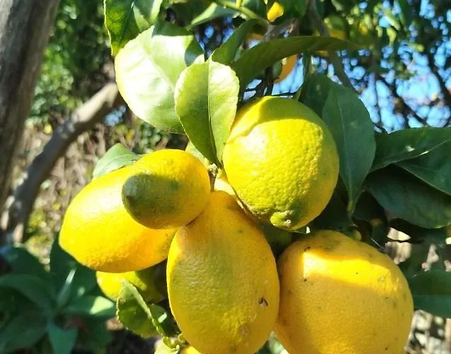 D'hotes La Casa Losa 埃斯波森迪