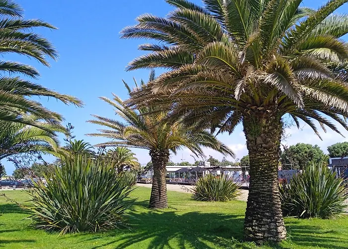 招待所 D'hotes La Casa Losa 埃斯波森迪