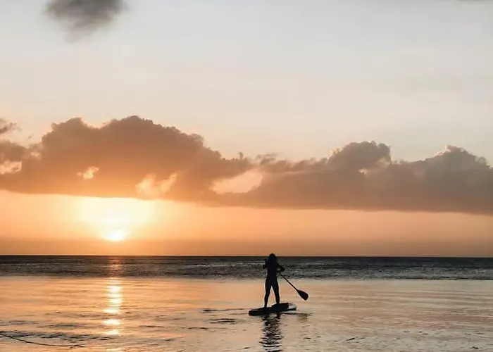 招待所 D'hotes La Casa Losa