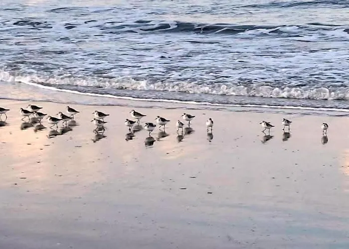 D'hotes La Casa Losa