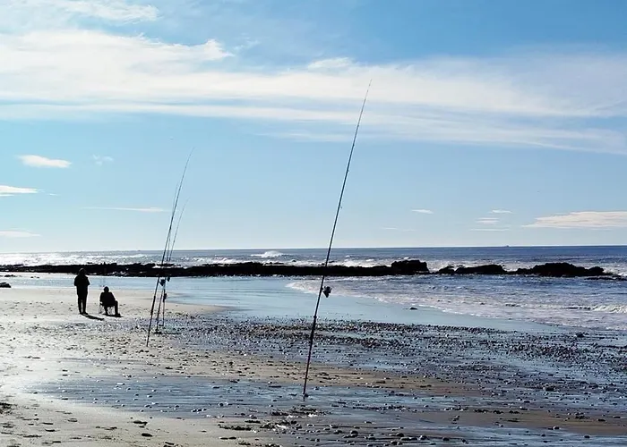 招待所 D'hotes La Casa Losa 埃斯波森迪