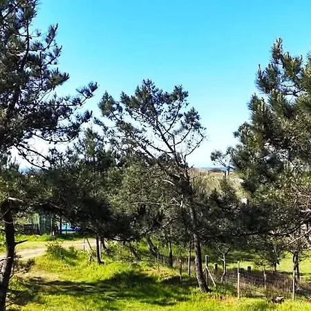 D'hotes La Casa Losa 3*