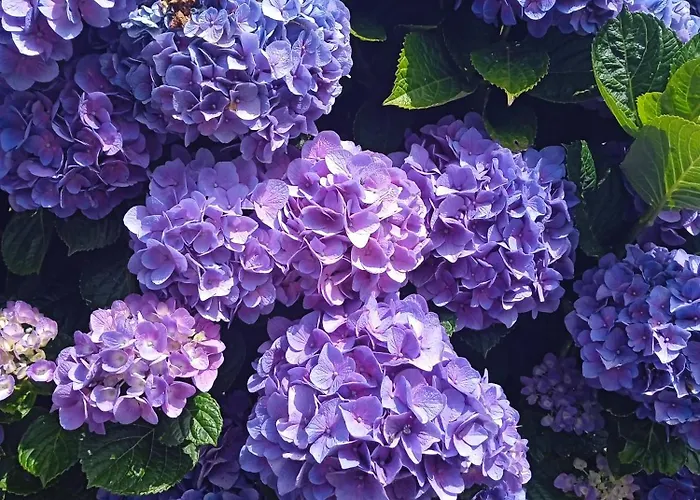 D'hotes La Casa Losa Guest house