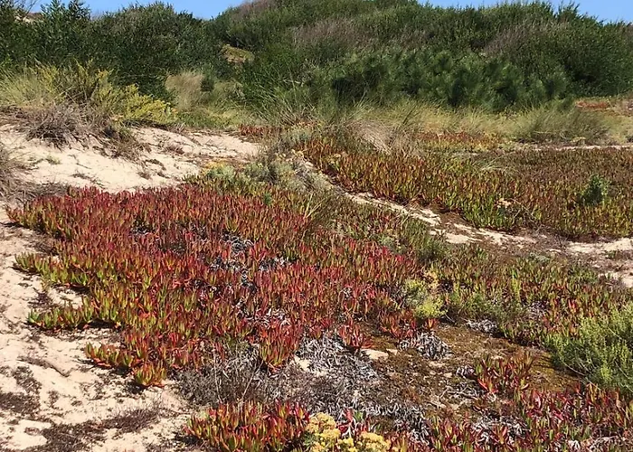 D'hotes La Casa Losa