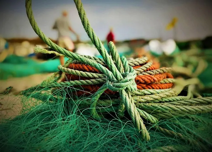 Maison d'hôtes D'hôtes La Casa Losa Esposende